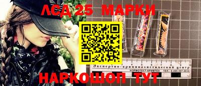гидропоника Ставрополь