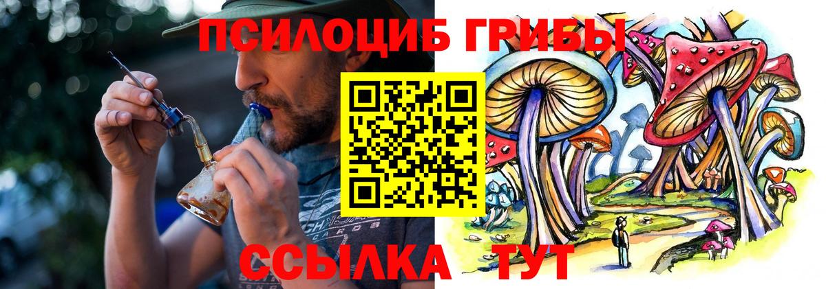 Псилоцибиновые грибы прущие грибы  Вход с VPN  Можайск  Псилоцибиновые грибы Psilocybe 