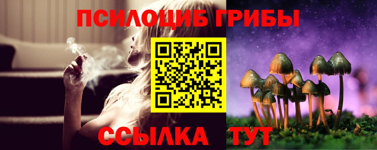 Псилоцибиновые грибы GOLDEN TEACHER Можайск